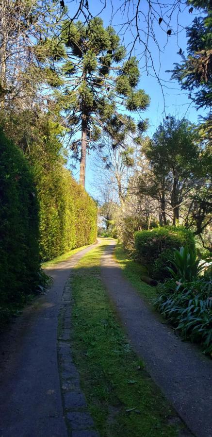 Sitio Nossa Senhora De Loreto Campos do Jordão Exterior foto